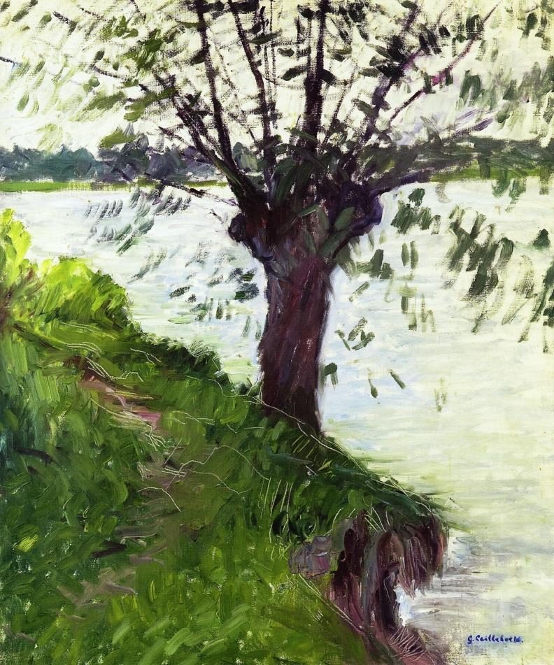 Gustave Caillebotte Willow on the Banks of the Seine